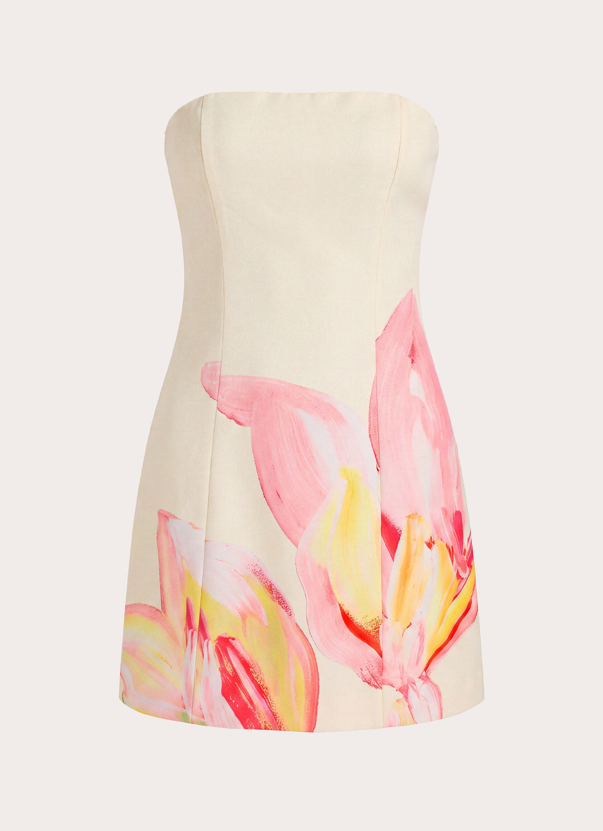 Dalanis Strapless Mini Dress - Floral Print