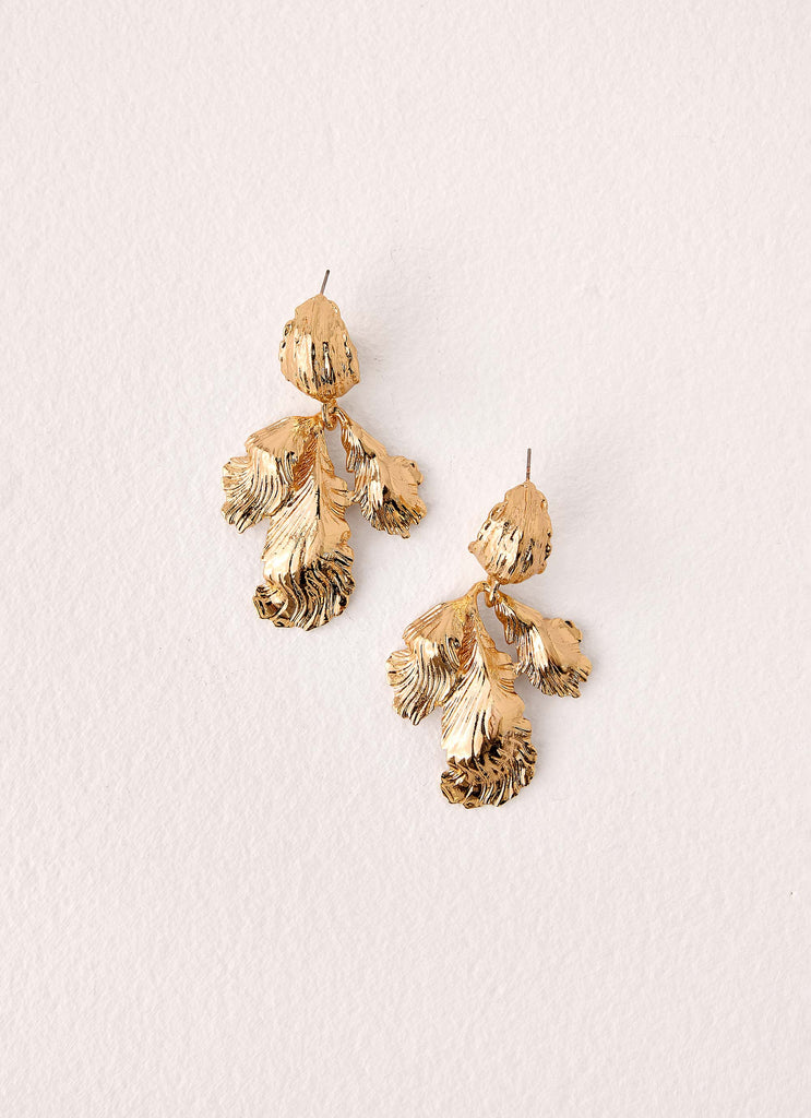 Earrings