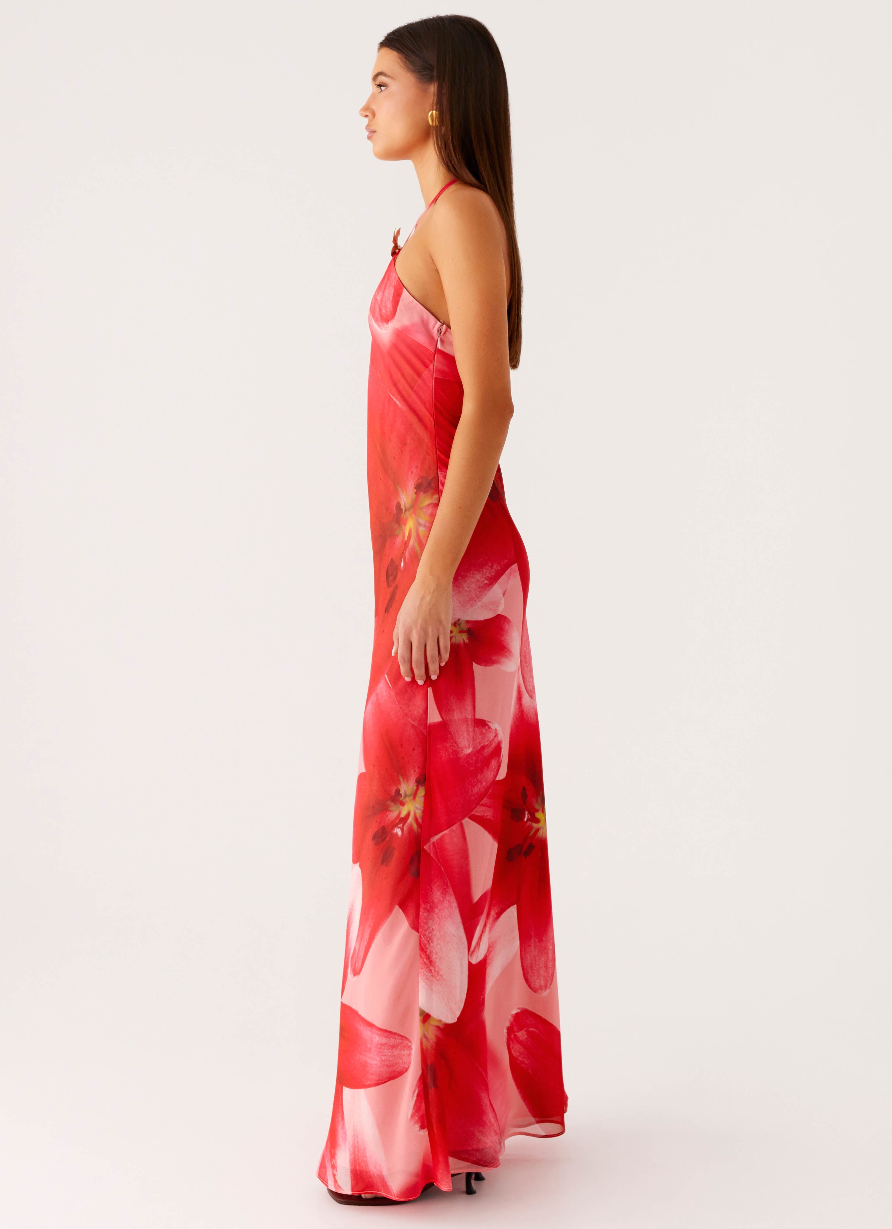 Vatiana Chiffon Maxi Dress